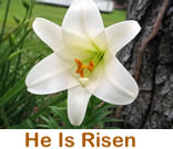 The Empty Tomb