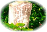 Tombstone
